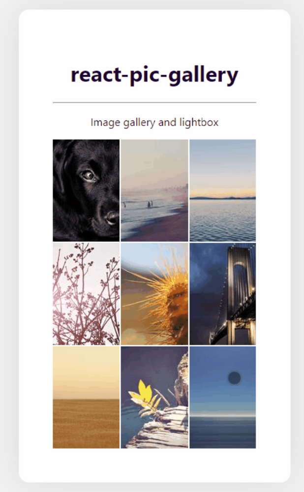 Gallery grid layout